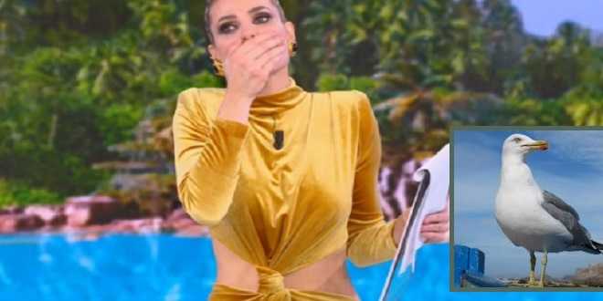 Shock all’Isola dei Famosi 2022, due naufraghi hanno cucinato un gabbiano?