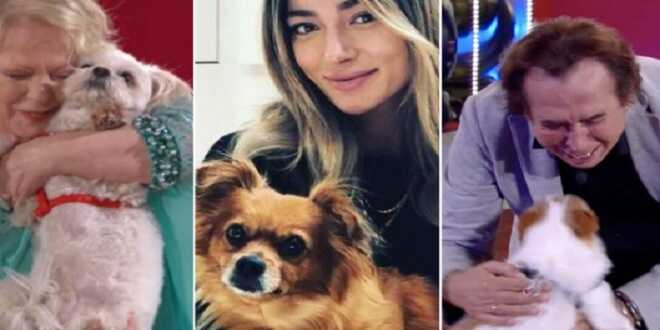 GF Vip 7, Alfonso Signorini apre le porte anche agli animali domestici? L’idea