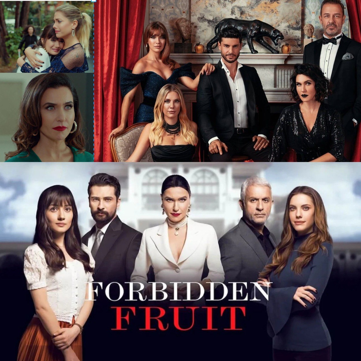forbidden fruit 2 anticipazioni dal 24 al 28 novembre 2025