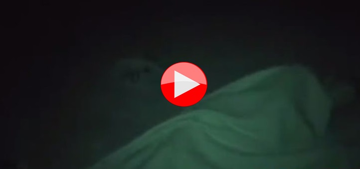 Isola dei Famosi, Francesco Monte e Paola Di Benedetto passano una notte intima
