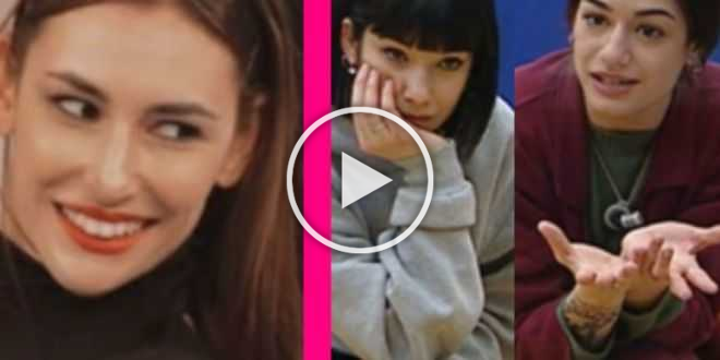 Amici 20, “Rosa Di Grazia e Martina Miliddi pizzettare”: il retweet che infiamma la polemica