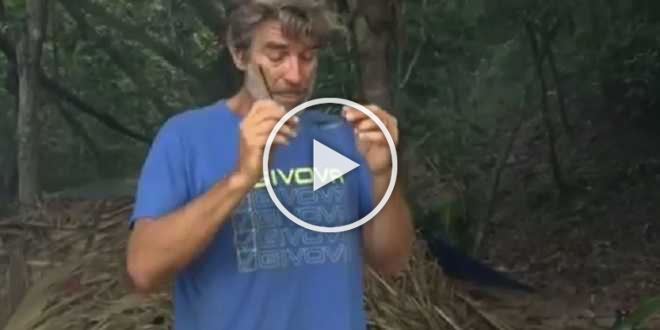 Isola dei Famosi 2021: un fuori onda svela la vera strategia di Brando?
