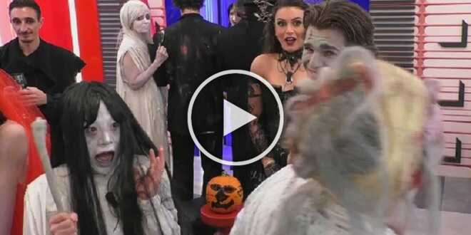 Grande Fratello 2023, gli inquilini esagerano ad Halloween: festa interrotta e provvedimento da parte degli autori