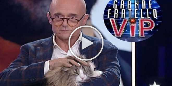 GF Vip 6, la proposta di Alfonso Signorini: sì agli animali domestici