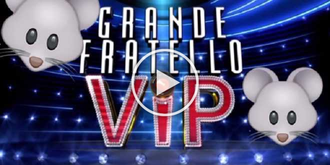 GF Vip 6, topi e scarafaggi: la Casa viene chiusa per la disinfestazione?