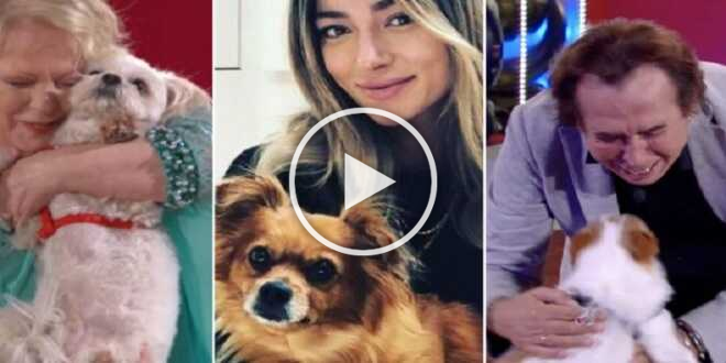 GF Vip 7, Alfonso Signorini apre le porte anche agli animali domestici? L’idea