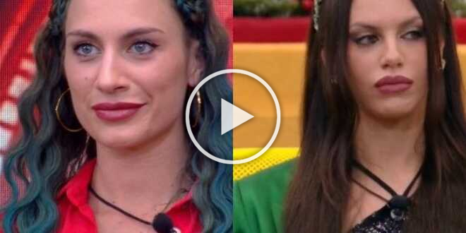 GF Vip 7, è mistero sugli appunti di Antonella e Nikita: le insinuazioni di Tavassi, Luca e Micol