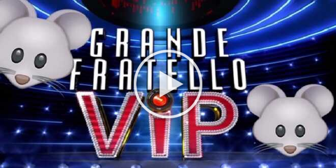 GF Vip 7, un topo entra nel letto di un concorrente: urla e panico nella notte