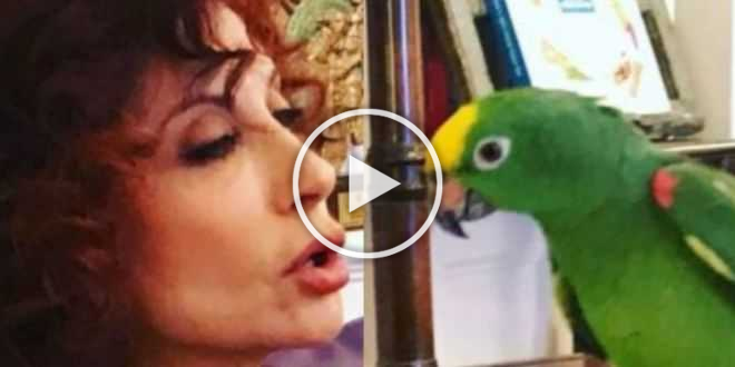 Alda D’Eusanio entra nella Casa del GF Vip 5 col suo pappagallo: il ruolo inaspettato