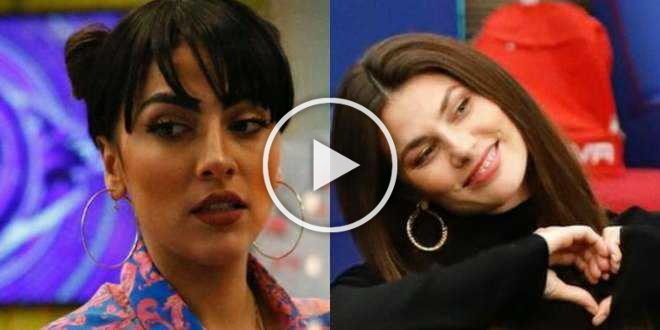 GF VIP 5, Dayane Mello e Giulia Salemi rispondono alle urla contro di loro
