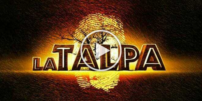 Uomini e Donne, storico ex tronista nel cast de “La Talpa”