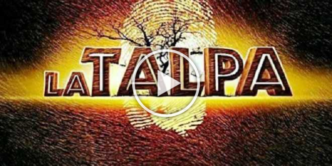 La Talpa 2022, i primi quattro concorrenti: ancora dubbi sulla conduzione