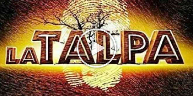 La Talpa torna su Canale 5: svelato il periodo di inizio e la conduttrice!