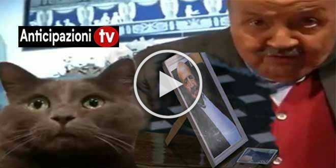 Maurizio Costanzo, fino all’ultimo con il suo gatto Filippo