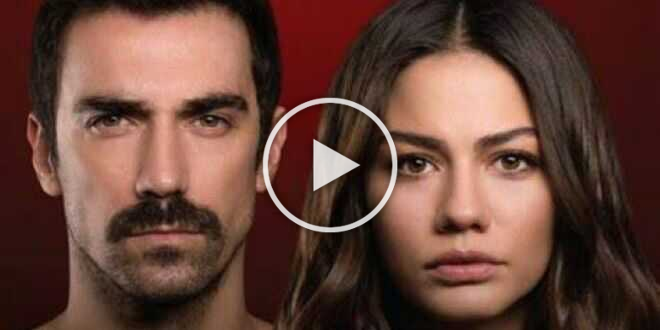 My Home My Destiny anticipazioni 13 luglio 2023, Zeynep deve sposarsi? Lei prende una decisione