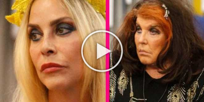 Gf vip 5, Patrizia De Blanck dà della prostituta a Stefania Orlando, ecco la sua reazione