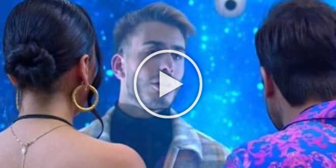 GF Vip 5, Pierpaolo Pretelli difende Giulia Salemi: è scontro con il fratello Giulio