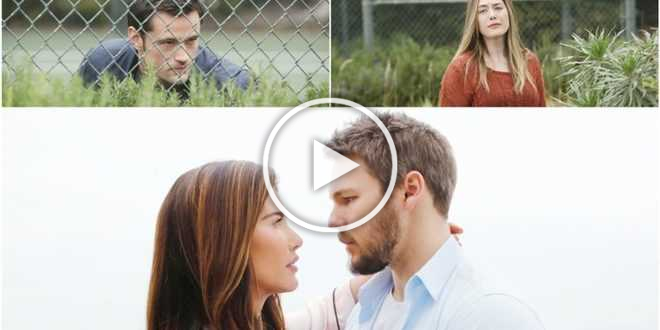 Anticipazioni Beautiful di martedì 29 dicembre 2020, Liam difende Steffy da Hope