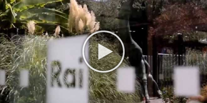 Rai, furto da milioni di euro: sparisce anche il cavallo di Viale Mazzini