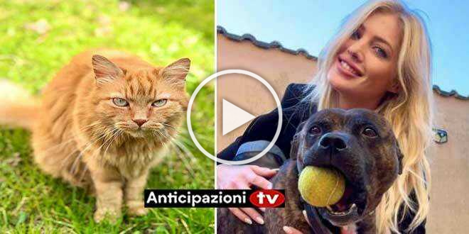 Sapevate che Nicole Santinelli ha una passione per gli animali?