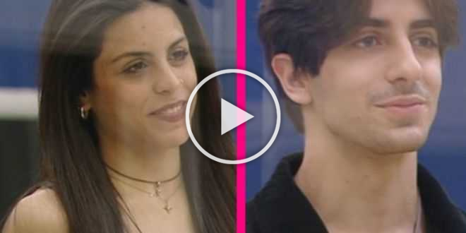 Amici 20, Serena Marchese e Alessandro Cavallo ricevono una proposta di lavoro in comune