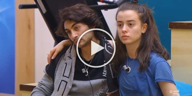 Amici 21, c’è del tenero tra Carola Puddi e Michele Esposito?