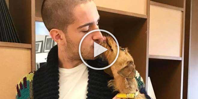 Tommaso Zorzi, paura per la cagnetta Gilda: l’influencer in lacrime