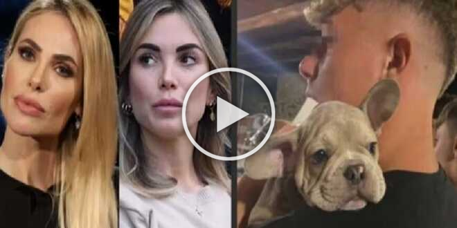 Totti-Ilary, sparito il cane di Cristian: gliel’aveva regalato Noemi Bocchi