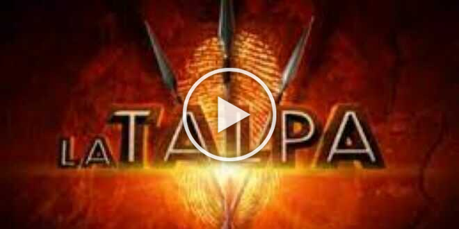 Uomini e donne gossip, due famose dame protagoniste de La Talpa?